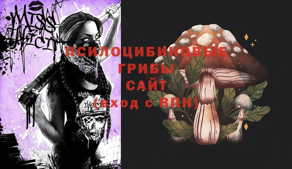 наркотики Ветлуга