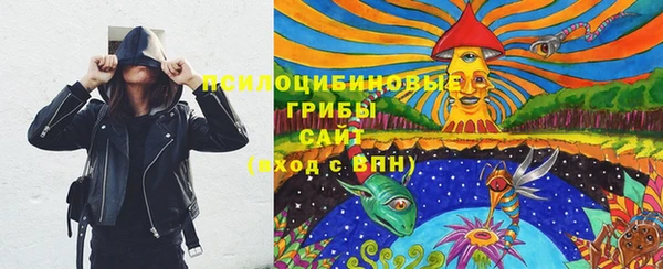 spice Воткинск