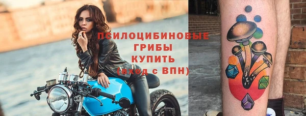 прущая мука Дмитриев