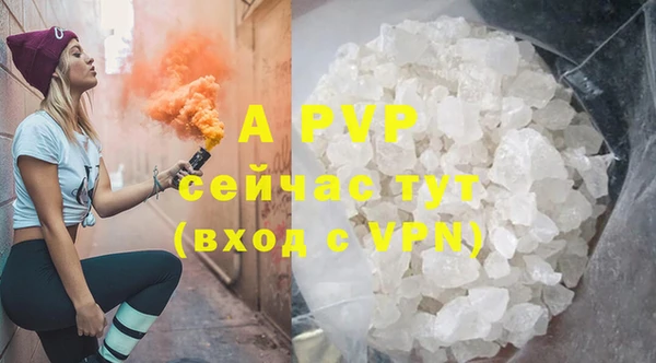 сатива Вуктыл