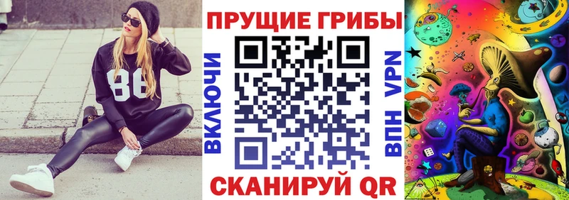 Псилоцибиновые грибы ЛСД  Губаха 