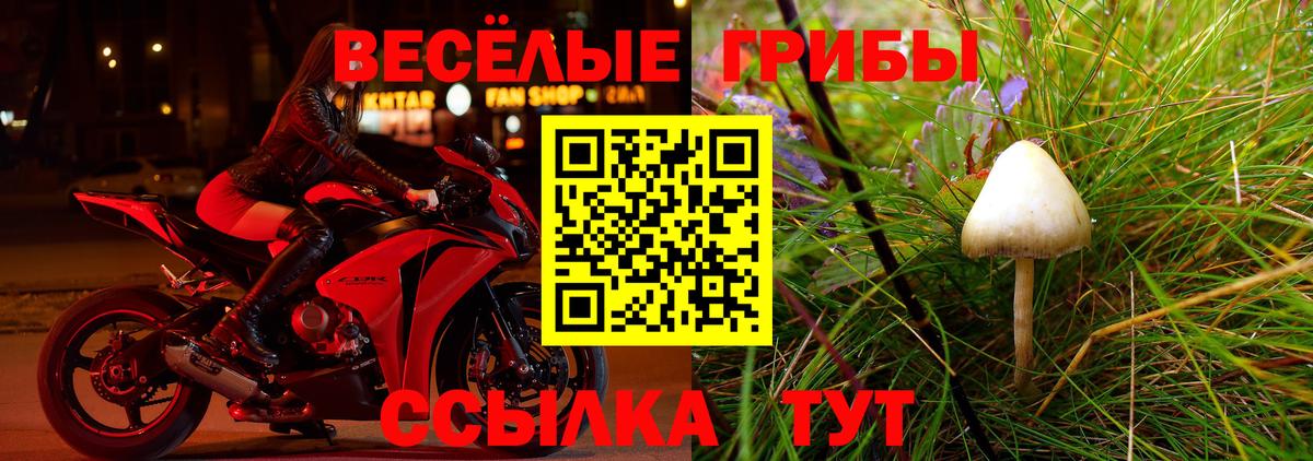 Галлюциногенные грибы мухоморы  Губаха 