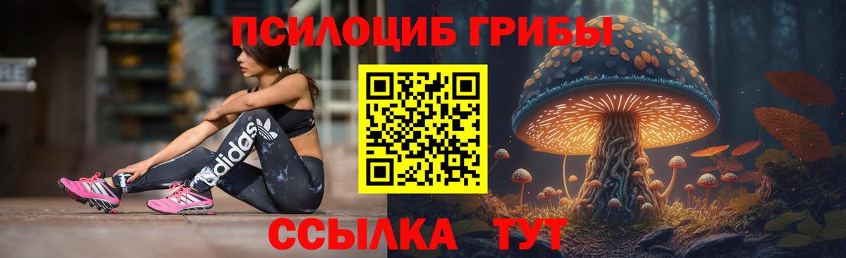 Галлюциногенные грибы ЛСД Губаха