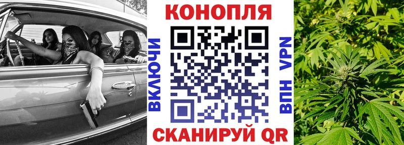 дарнет шоп  Губаха  Конопля индика 